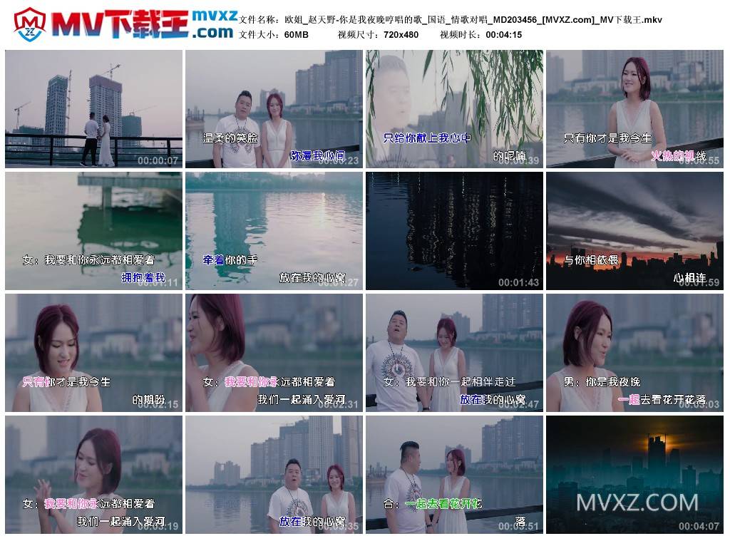 欧姐_赵天野-你是我夜晚哼唱的歌_国语_情歌对唱_MD203456